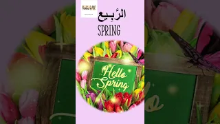 The four seasons in Arabic|Learn Arabic vocabulary