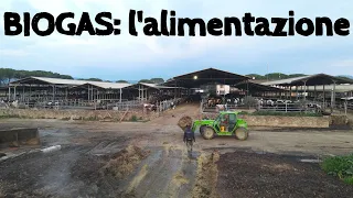 BIOGAS - L'alimentazione