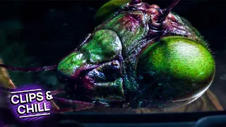 I Don't Remember Writing About A Giant Praying Mantis! | Goosebumps (2015)