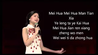 Mei Hua (Plum Flower) by Teresa Teng (cover+english version) with lyrics