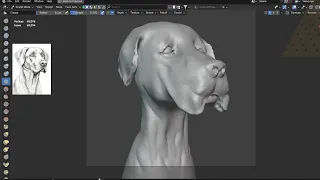 Realtime Sculpting a Dog head | Blender