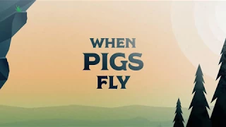 When Pigs Fly Promo