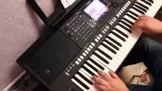 «Одинокая Ветка Сирени»  на Yamaha PSR S750.