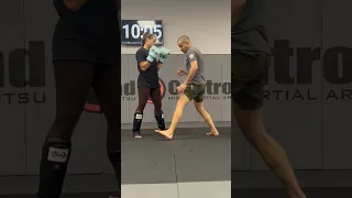 LOW KICK IN 3 STEPS!!!