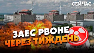 💣СВІТАН: Путін ПІДІРВЕ ЗАЕС! Залишилось 7 ДНІВ. Захід може ЦЕ ЗУПИНИТИ