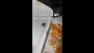 A snail in my McDonald's?! Welsh teen felt sick 'after crunching snail' in her food