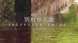 MINE city tourism material video【Beppu Benten Pond】（美祢市観光用映像素材【別府弁天池】）