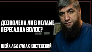 Дозволена ли в Исламе пересадка волос? – Шейх Абдуллах Костекский