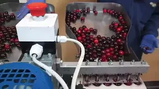 Cherry Pitting machine