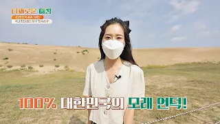 한국에도 사막이 있다?! 국내 최대의 해안 사구 '신두사구' 다채로운 아침(themorning) 61회 | JTBC 210913 방송