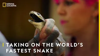 Taking on the World's Fastest Snake | Snakes In The City | National Geographic