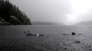 Freediving Port Alberni | British Columbia, Canada