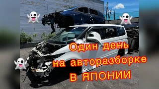 Один день на авторазборке в ЯПОНИИ