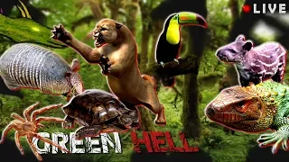 Modular shelters Green Hell animal update - Green Hell v.0.2.0