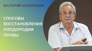 Способы восстановления плодородия почвы