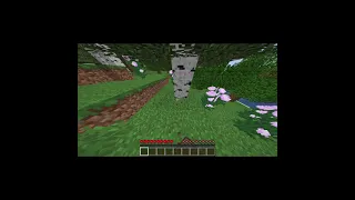 minecraft 1.17 speedrun under 35 seconds