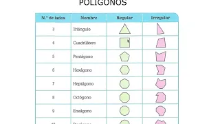 POLIGONOS   TIPOS