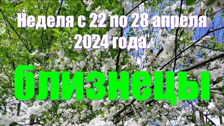 Неделя с 22 по 28 апреля 2024 года.БЛИЗНЕЦЫ ♊️