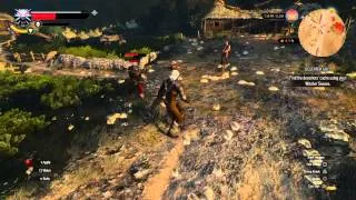 The Witcher 3: AI Not So Much