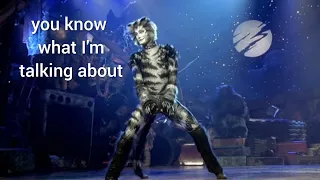Cats, but it's only Munkustrap doing his leg thing
