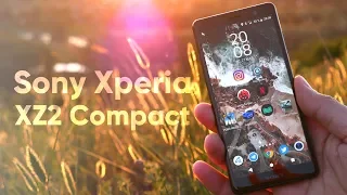 Обзор Sony Xperia XZ2 Compact. Единственный компактный флагман.