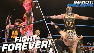 LAX vs Lucha Bros: Tag Team Championships | IMPACT! Highlights Feb 8, 2019