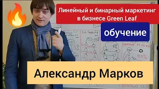 🔥Разбираем линейный и бинарный план выплат Green Leaf Грин Лиф Александр Марков #инвесторы_greenleaf