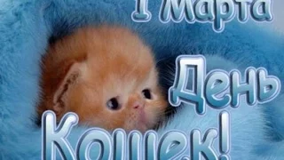 С Днем Кошек  ! 1 марта - День Кошек ! Шуточное поздравление.