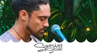 Will Evans - Family Tree (Live Music) | Sugarshack Sessions