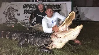 Massive Alligator {HUNT CLEAN COOK} Complete Video! GOURMET!!!