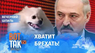 Что стало с собакой Лукашенко? / Вечерний шпиль