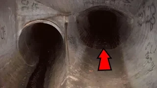 5 Sewer Monsters Caught On Camera & Spotted In Real Life! #2