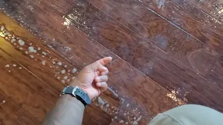 Removing wax build-up from engineered hardwood floors and dancing in the wax
