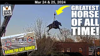 GREATEST HORSE OF ALL TIME, SECRETARIAT! GATE RUNNER RUNS INTO POLICE, HSC EASTER EGG HUNT & MORE