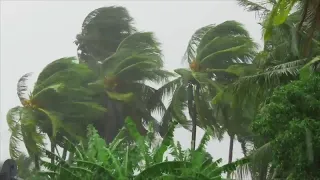 Lafayette residents prepare for hurricane season