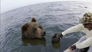 50 Animales Que Pidieron Ayuda y Bondad a la Gente ! | ¡Lo Mejor Del Año!