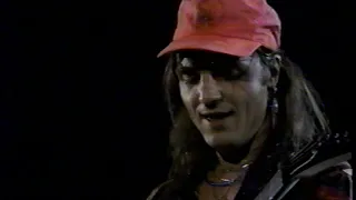 Scorpions / Live on In Concert Show / 1991 /