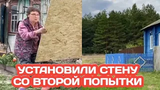 НЕКОГДА ЗАНИМАТЬС ОГОРОДОМ - ПОДАЮ ПАТРОНЫ МУЖУ, ПОСТАВИЛИ СТЕНУ, В РАЙЦЕНТР ЗА СТРОЙМАТЕРИАЛАМИ