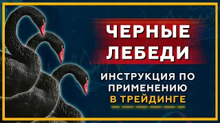 ЧЕРНЫЕ ЛЕБЕДИ. Инструкция по применению в ТРЕЙДИНГЕ // Фрагмент курса Нейро Инсайдер PRO 18+