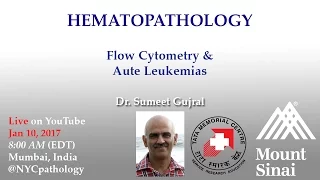 Hematopathology: Flow Cytometry and Acute Leukemias