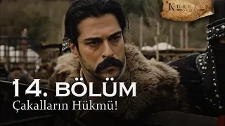 Çakalların hükmü! - Kuruluş Osman 14. Bölüm