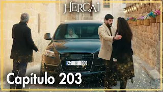 Hercai - Capítulo 203