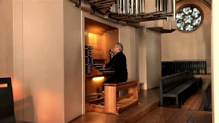 Kay Johannsen plays Toccata and Fugue d minor BWV 565