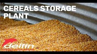Atex vacuum cleaning in a cereals storage plant | CASE STUDY
