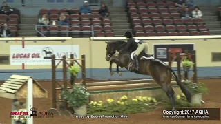 A Judge's Perspective: 2017 AQHA World Amateur Equitation Over Fences World Champion