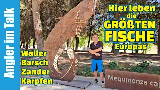 Zum Angeln ausgewandert! 🎣 Jürgen Stegherr hat sein Glück in Mequinenza am Ebro gefunden. 🇪🇸