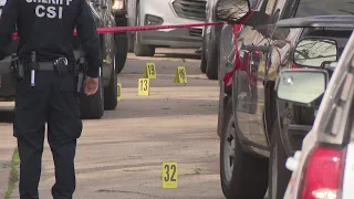 Task force shoots and kills fugitive in east Harris County, HCSO says