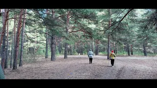 In the Minusinsky forest on 10/26/2021. В Минусинском бору 26.10.2021.