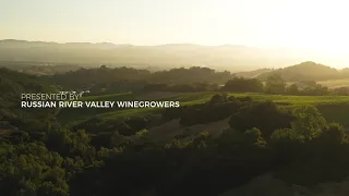 Russian River Valley | The Neighborhoods Overview