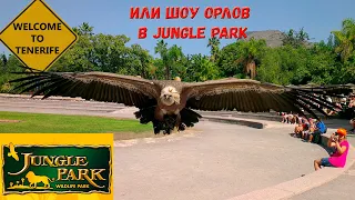 Шоу орлов в Jungle Park . Остров Тенерифе.